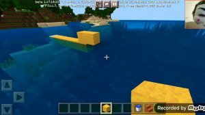 Сделал красивую утку в minecraft.