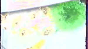 Реклама Туалетный Утенок (2002)