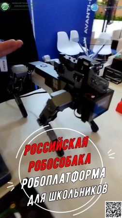 Российская робособака для школьников