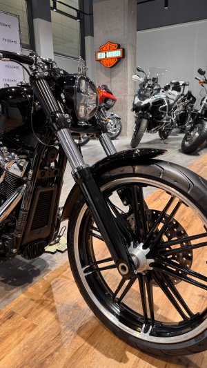 2018 Breakout Screaming Eagle