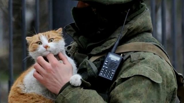 Дружок