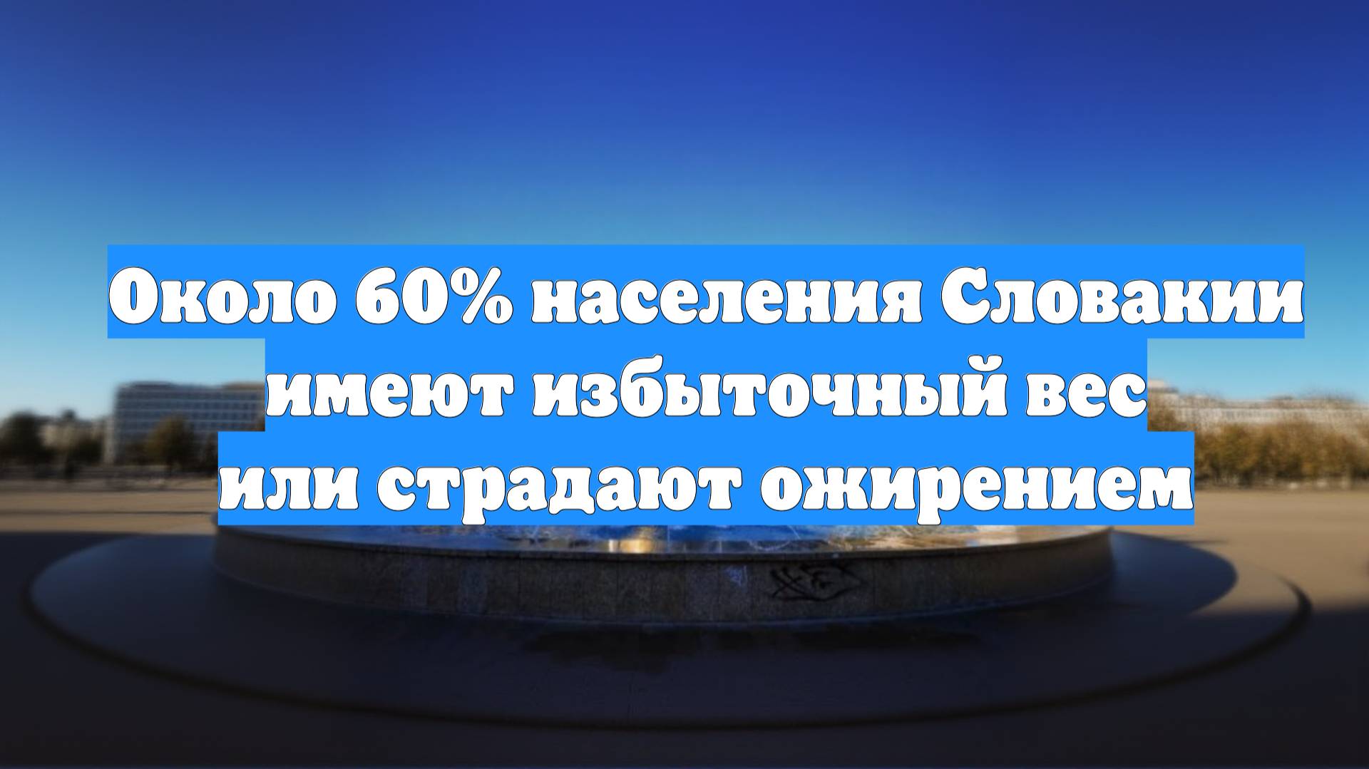 Около 60% населения Словакии имеют избыточный вес или страдают ожирением