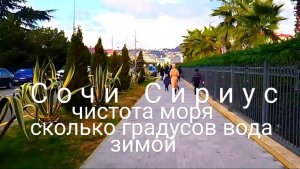 Сочи/Имеретинка. Чистота моря? Сколько градусов вода/медузы/Лоо