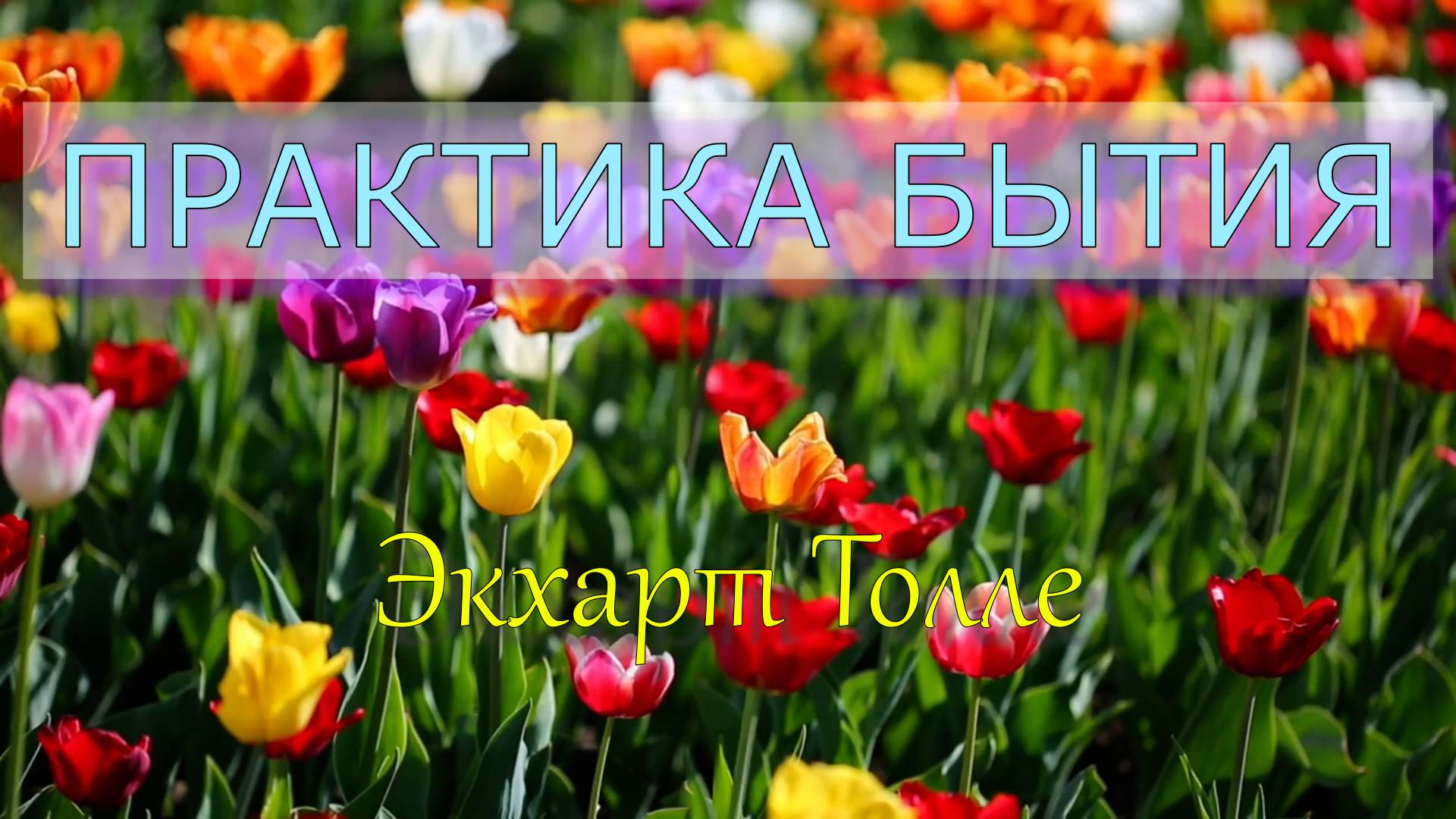 Практика Бытия. Экхарт Толле озв. Никошо.