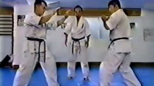 Hiroshigi Цуёси. The best of Kiokushinkai kumite 3 - Хиросиги Цуёси. Лучшее из Киокушинкай кумитэ 3