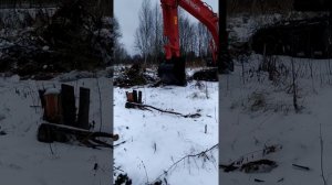 раскорчевка участка Эксковатором