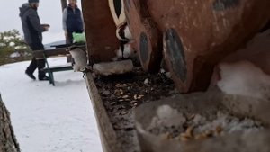 Прокатились на лыжах на Уралтау. 13.03. 25