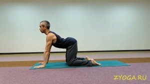 Разминка из базовых поз йоги / Warm-up with basic yoga poses