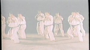 World Oyama Karate 1 - Мир Ояма Каратэ 1