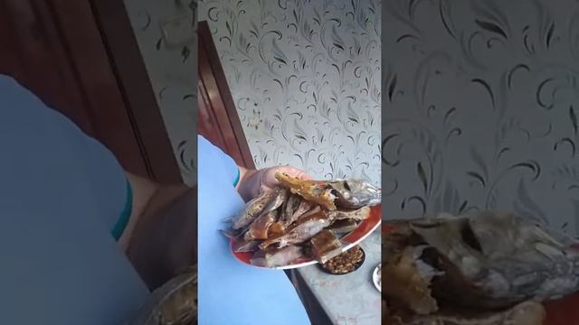 Отпуск(5) смотреть онлайн