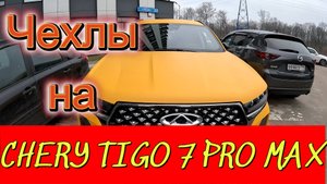 Заколхозил тигру. Подготовка к работе.