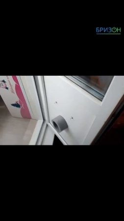 Баллу 100