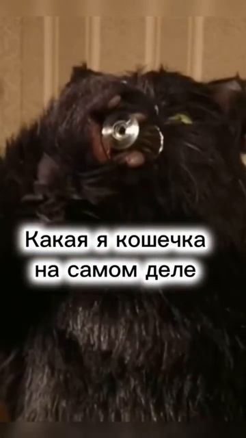 #корейскаякосметика #косметика #бизнес #деньги #работавудовольствие #работаонлайндома