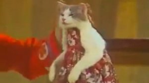 Клоун Юрий Куклачёв