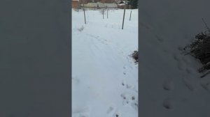 VID_20250313_075710.mp4