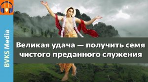 Великая удача — получить семя чистого преданного служения — Бхакти Викаша Свами
