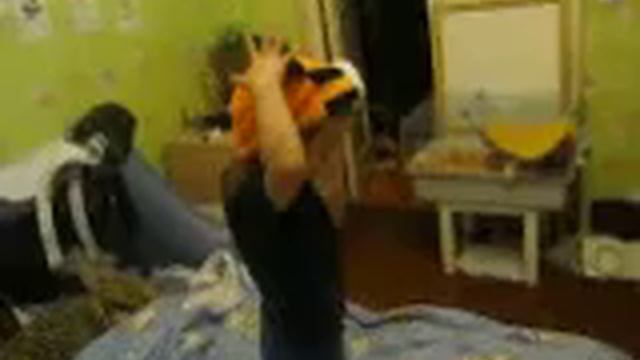 Испугали кошку смотреть онлайн