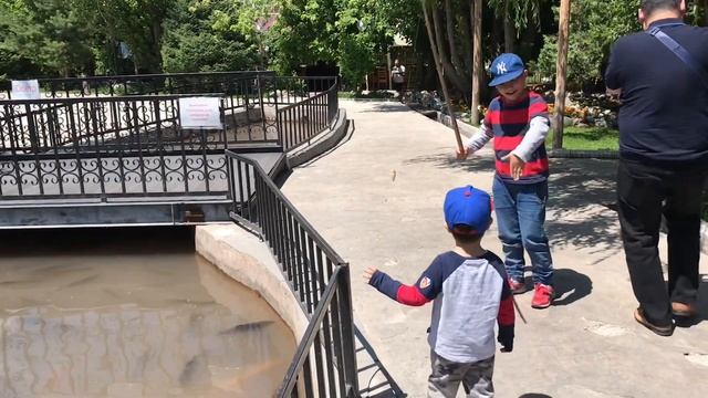 #видеодлядетей #ловимрыбу смотреть онлайн