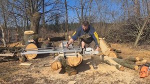 распиловка дуба. неповторимый рисунок