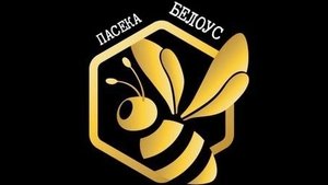 Начало сезона на пасеке