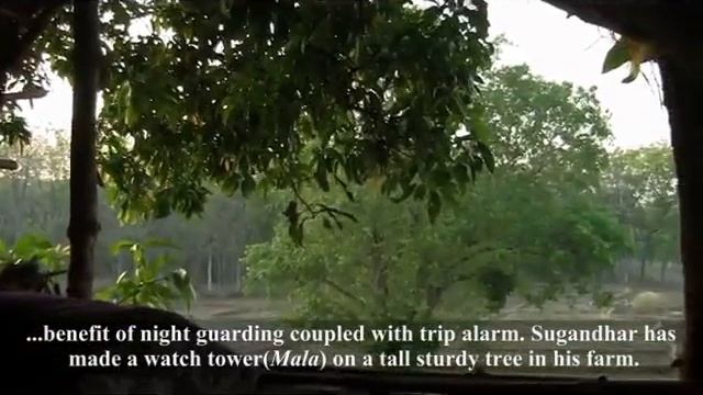 "How to Protect your Crops" A Film by WRCS ( Aug 2014_English Version) смотреть онлайн