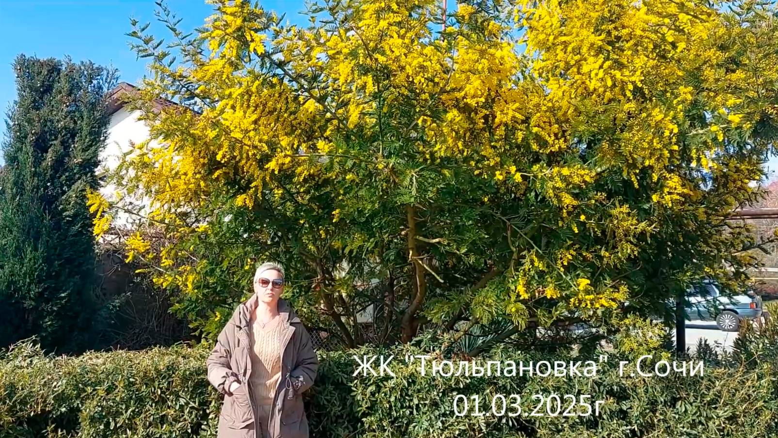 Тюльпановка ход строительства смотреть онлайн