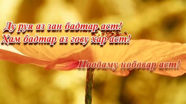 Як руз бошу мард бош смотреть онлайн