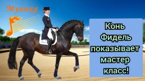 НАСТОЯЩАЯ выездка лошади! / Лучшая инструментальная музыка слушать