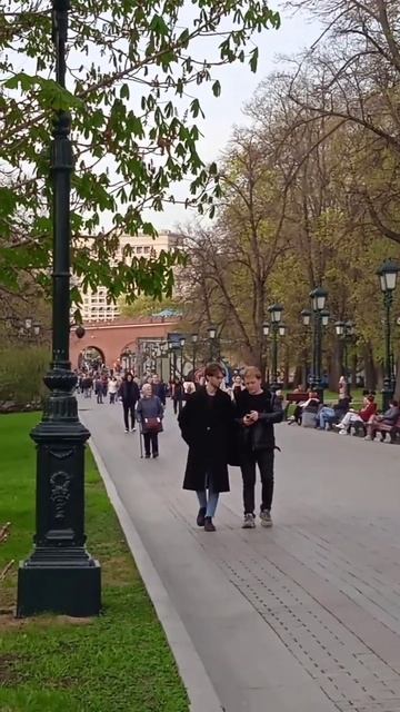 Мелодии Александровского сада|#shorts #respect #travel #russia #москва #весна #александровскийсад