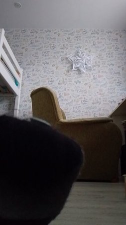елин и House cat