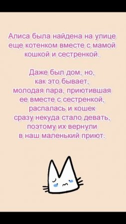 💗 Очень ласковая кошечка Алиса ищет дом! 🏡 🐈