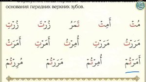 Муаллим сани. Урок 6.