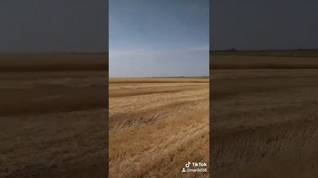 14 июля 2020 г. смотреть онлайн