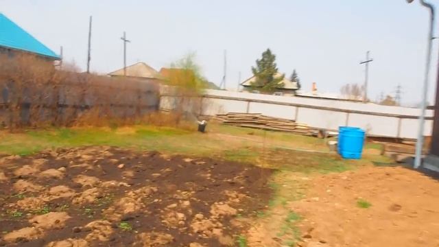 Сибирская деревня огород мечты Не умею варить кофе Купил мороженного Ем пельмешки