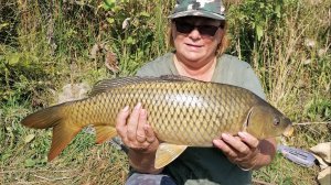 Вывожу КАРПА! Дикий пруд! #рыбалка #fishing #ловлякарпа