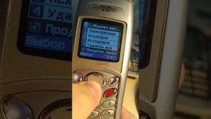 Samsung SGH C110 Обзор телефона.