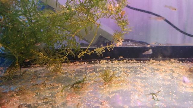 VID_20250307_151330