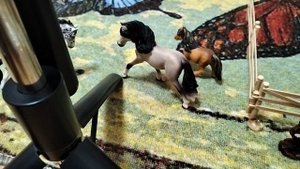 Большая распоковка лошадей и пони.