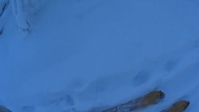 Очередной полупутик. смотреть онлайн