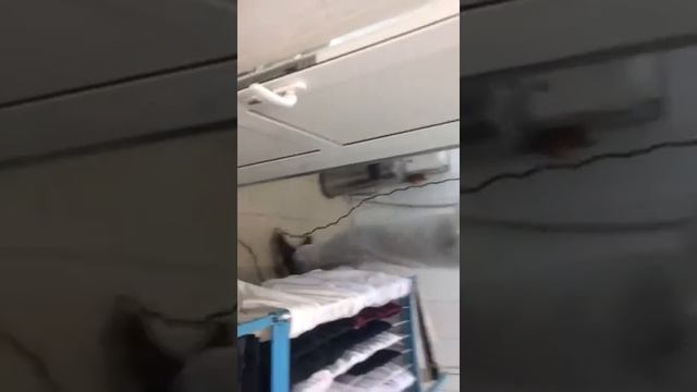 Дезинфекция от тараканов смотреть онлайн