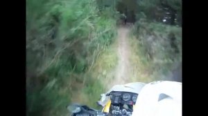 BMW R 1150 GS off road Pine Forest New Zealand