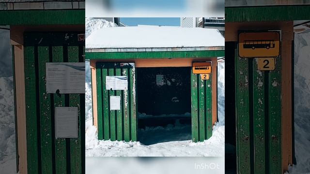 Food for thought in Greenland - Erasmus project смотреть онлайн