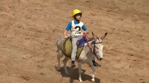 Скачка ослов  28.07.19 Алматинский ипподром