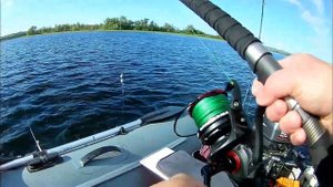 На заре... Ловля сома