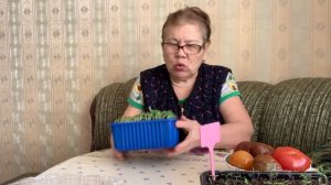 IMG_7956 Томаты, Сержант Пеппер,Настенька и Петруша Огородник,сто процентов взошли.