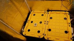 Spider Farmer 2x4 Grow Tent w/ Mars Hydro TS600w Lights | Tomatoes, Lettuce, and Peppers.