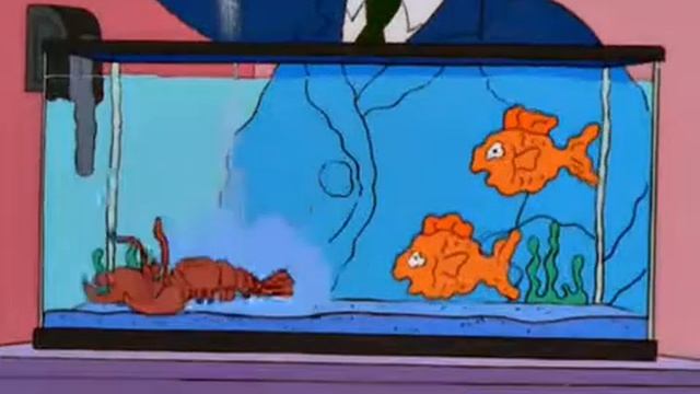 When I'm fine tuning the water parameters in my new tank смотреть онлайн