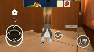 Нычки в Kitten cat simulator 3d