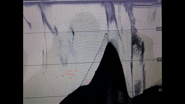 Humminbrd Helix 10 SI G1 Mreze/Gillnets #1 смотреть онлайн