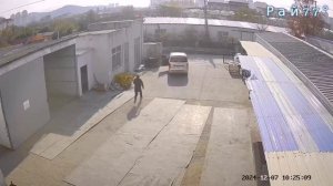 Курьер устроил погоню за дворнягой и упустил свой автомобиль